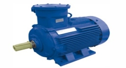 異步起動(dòng)永磁電機(jī)